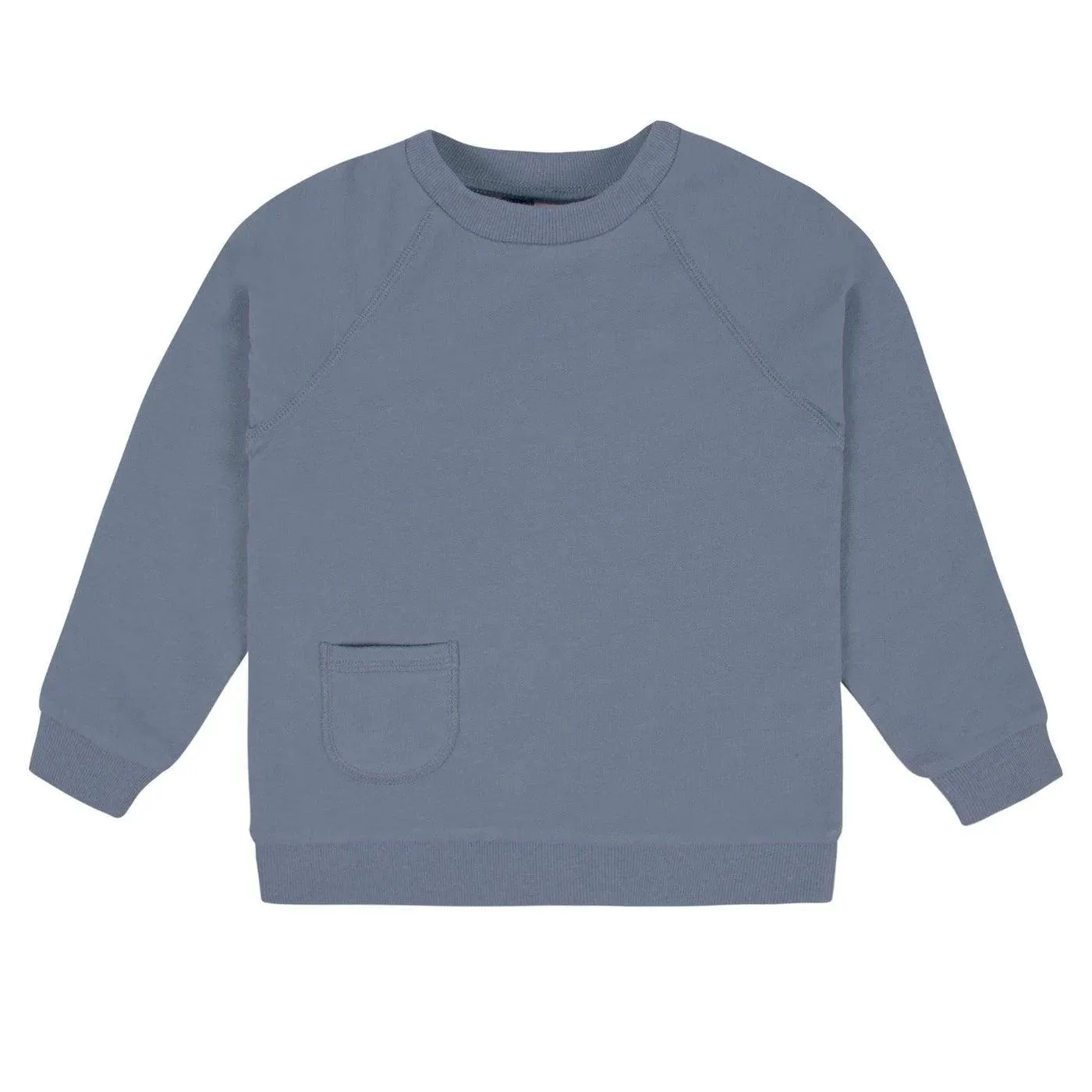 Gerber 2-Piece Toddler Boys Blue Pullover & Jogger Set (2-5t) Babykids Gerber