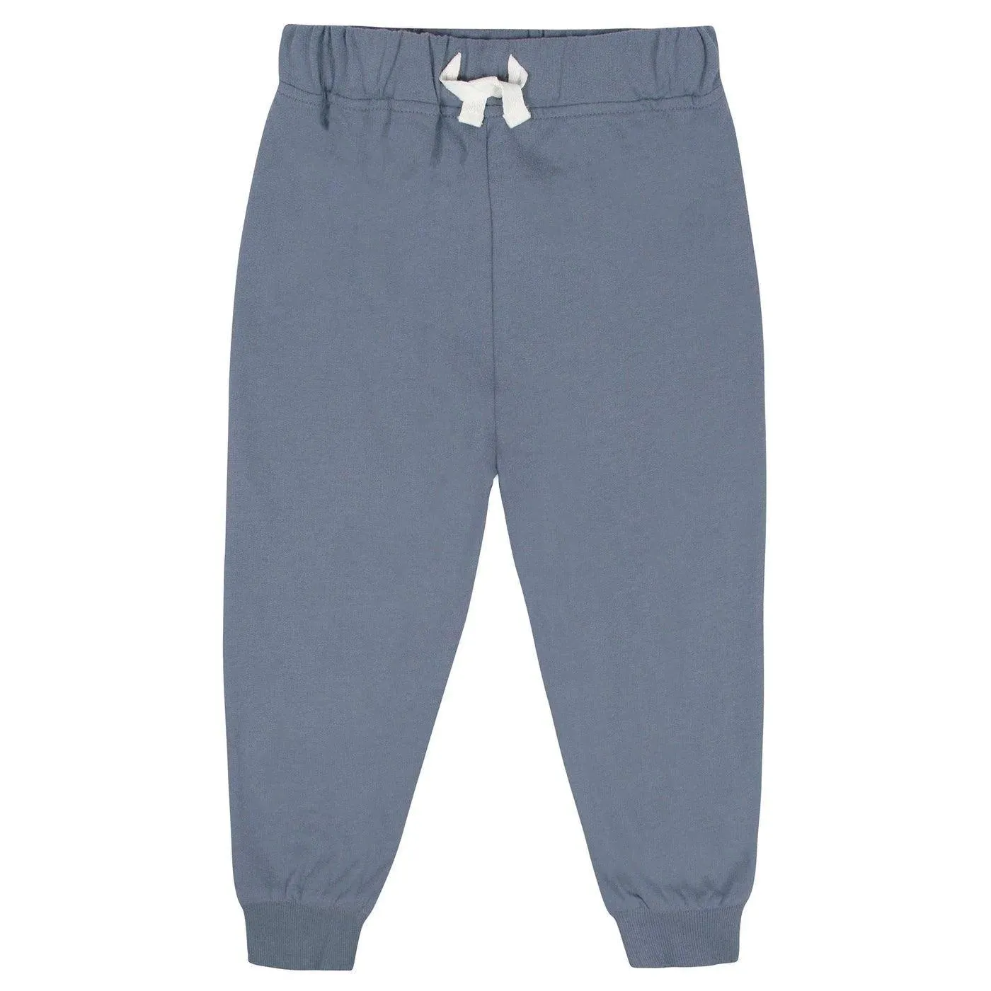 Gerber 2-Piece Toddler Boys Blue Pullover & Jogger Set (2-5t) Babykids Gerber