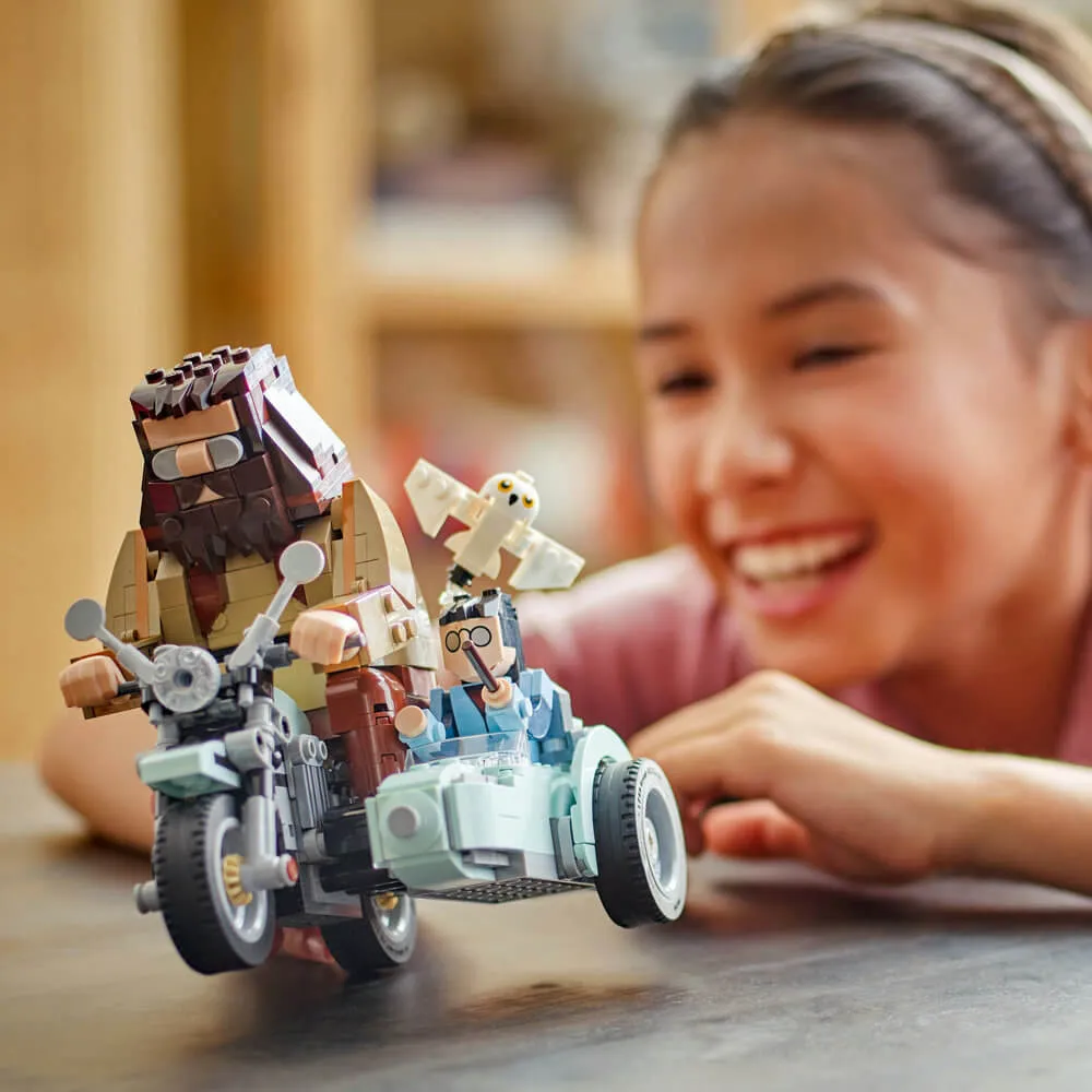 Lego® Toys LEGO® Harry Potter Hagrid & Harry's Motorcycle Ride Building Kit 76443