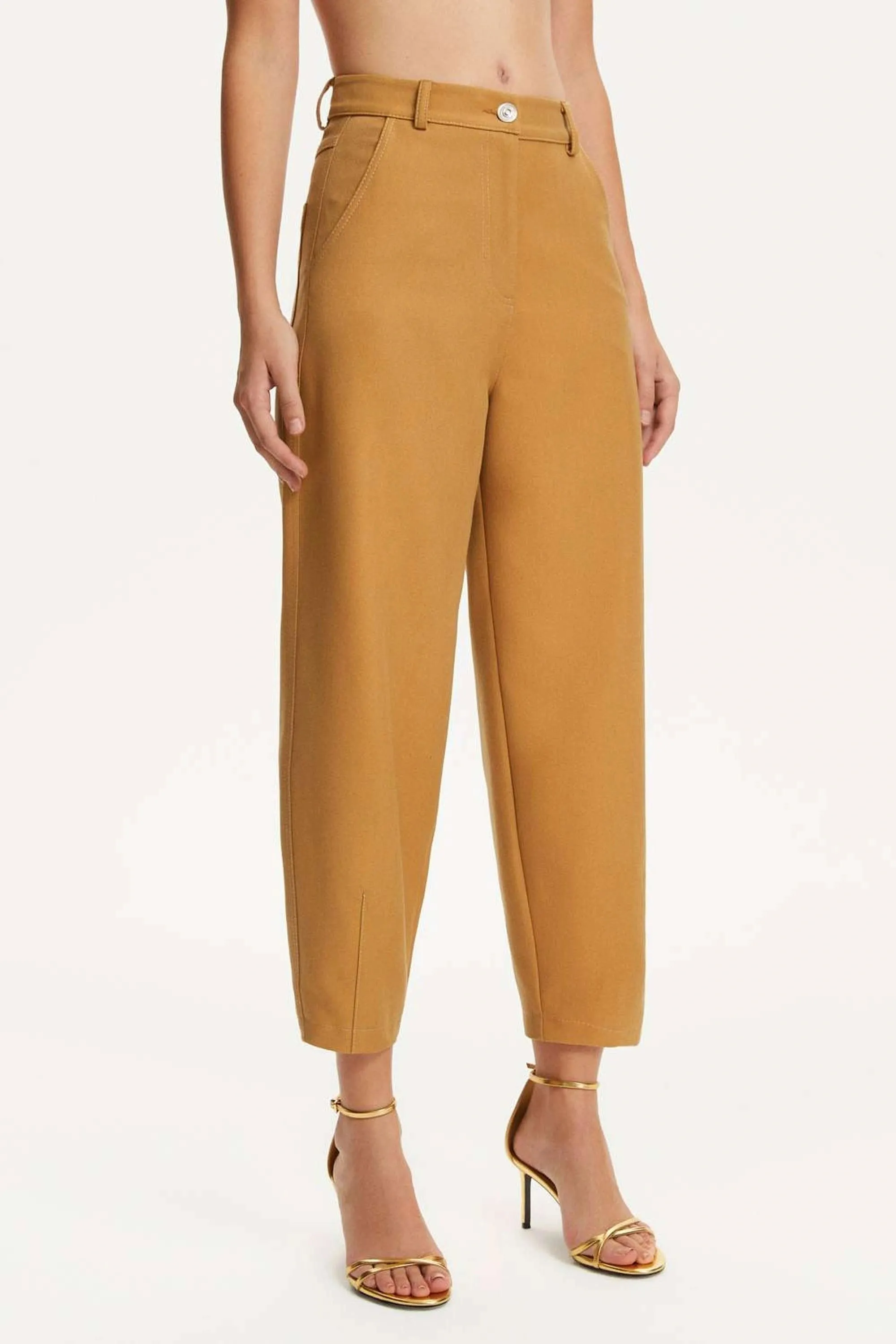 Pleated Slouchy Pants
