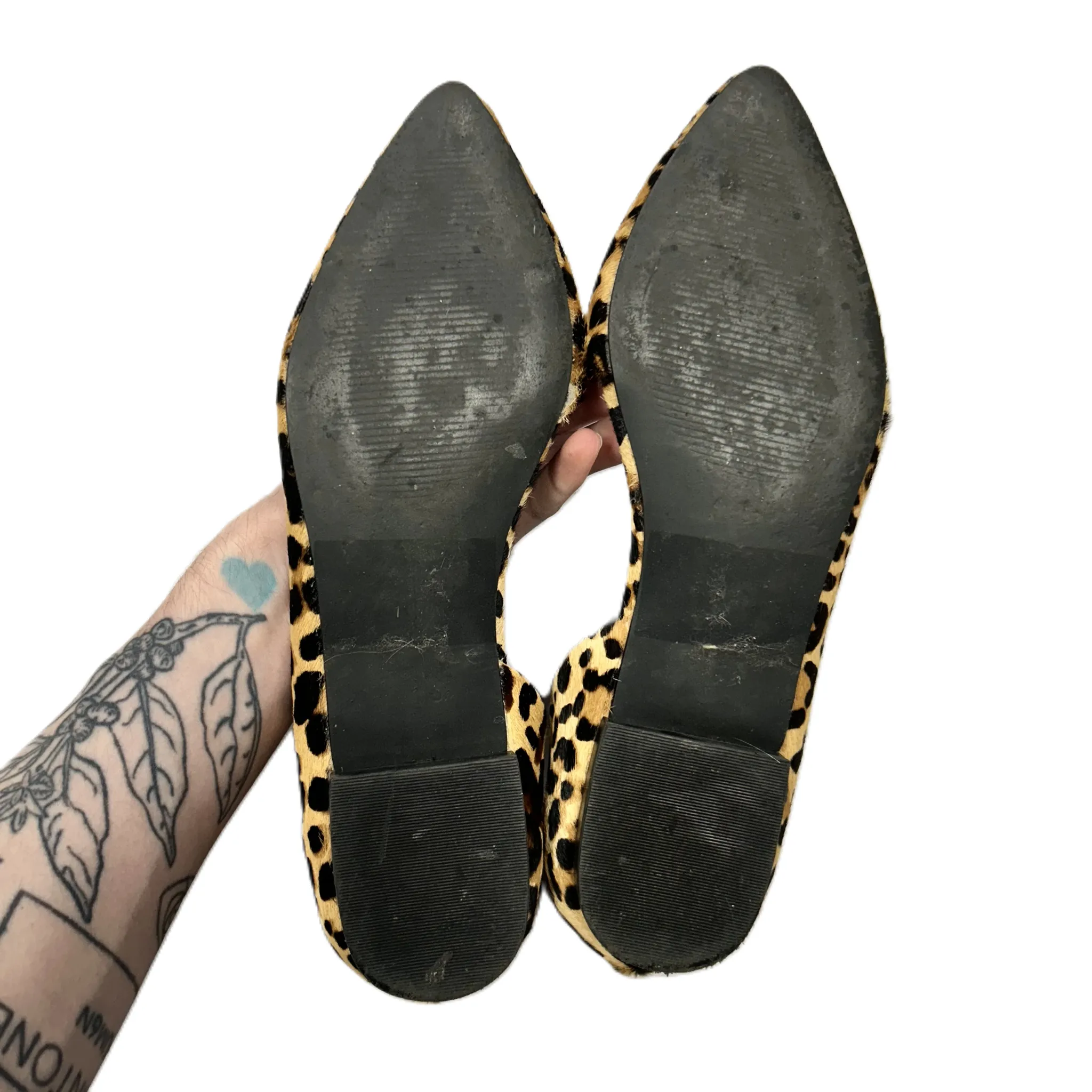 Shoes Flats By Steve Madden  Size: 7 steve madden