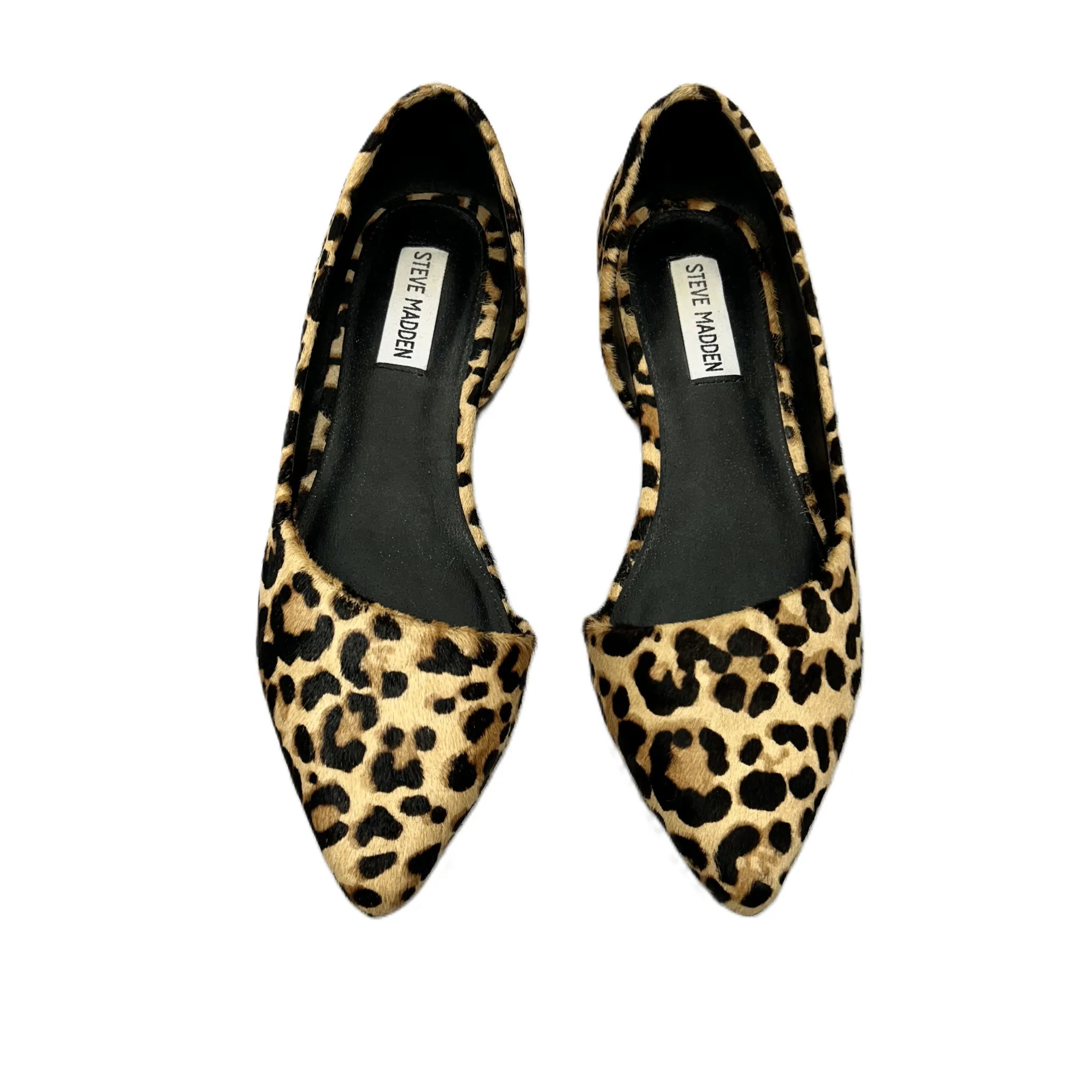 Shoes Flats By Steve Madden  Size: 7 steve madden