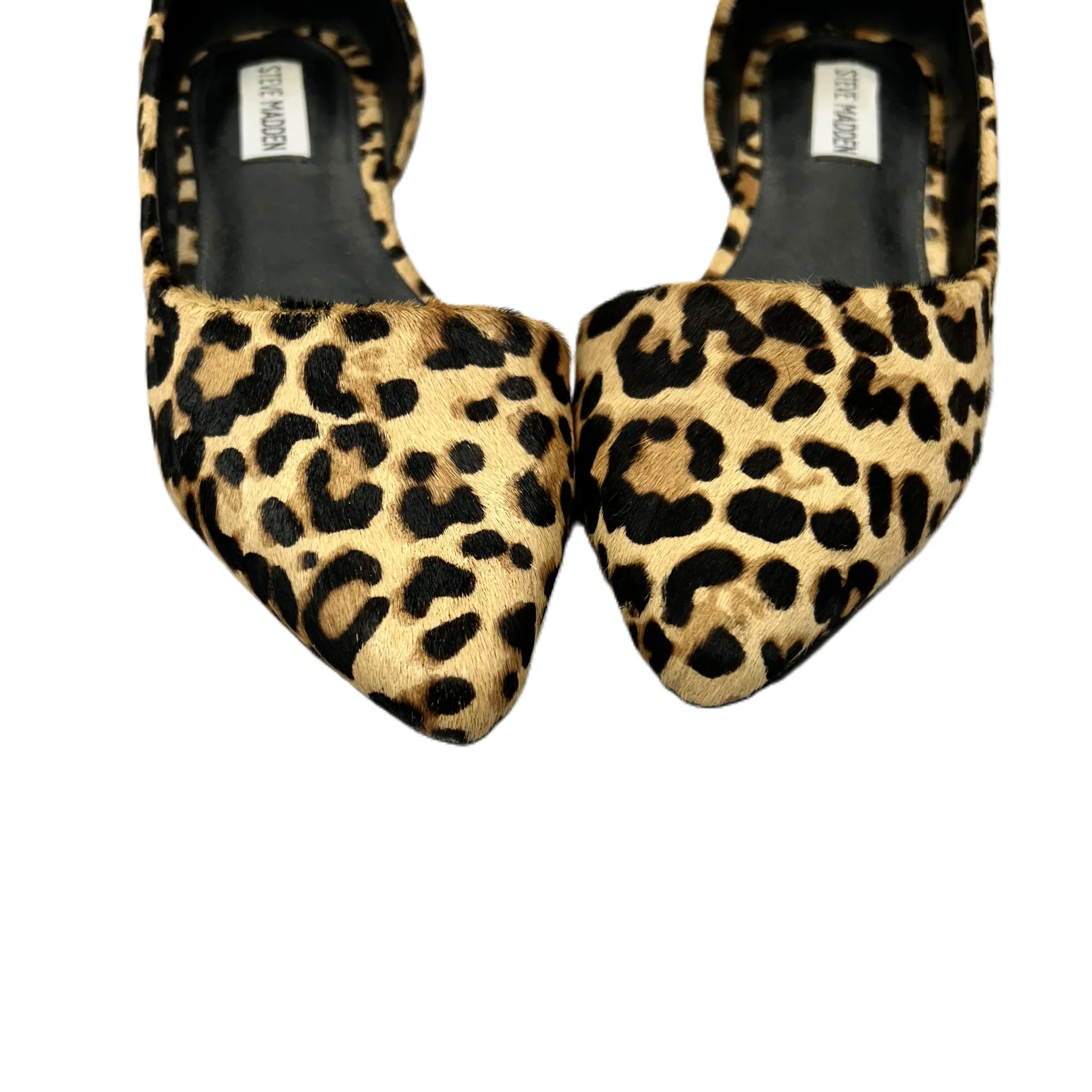 Shoes Flats By Steve Madden  Size: 7 steve madden