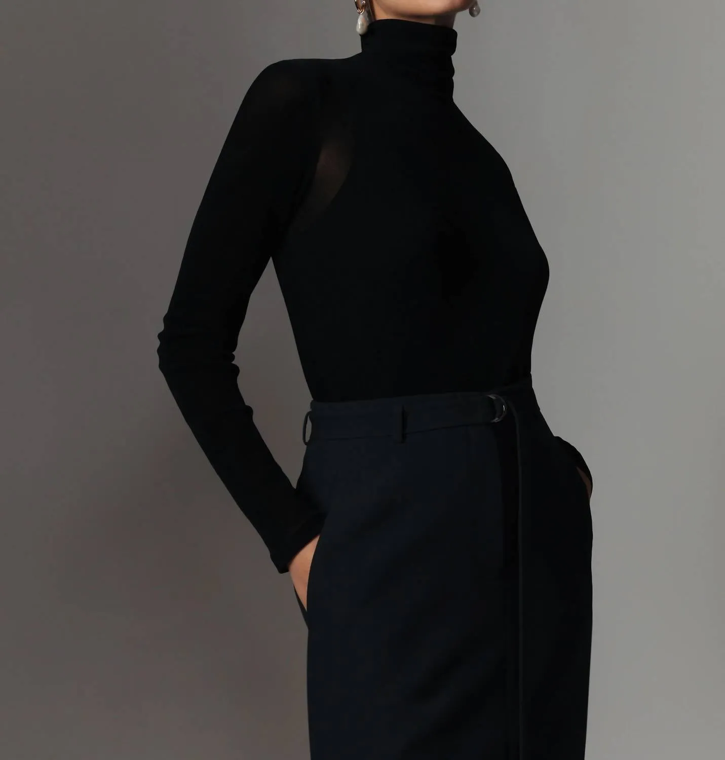Velvet Mesh Jersey Sheer Turtleneck In Black