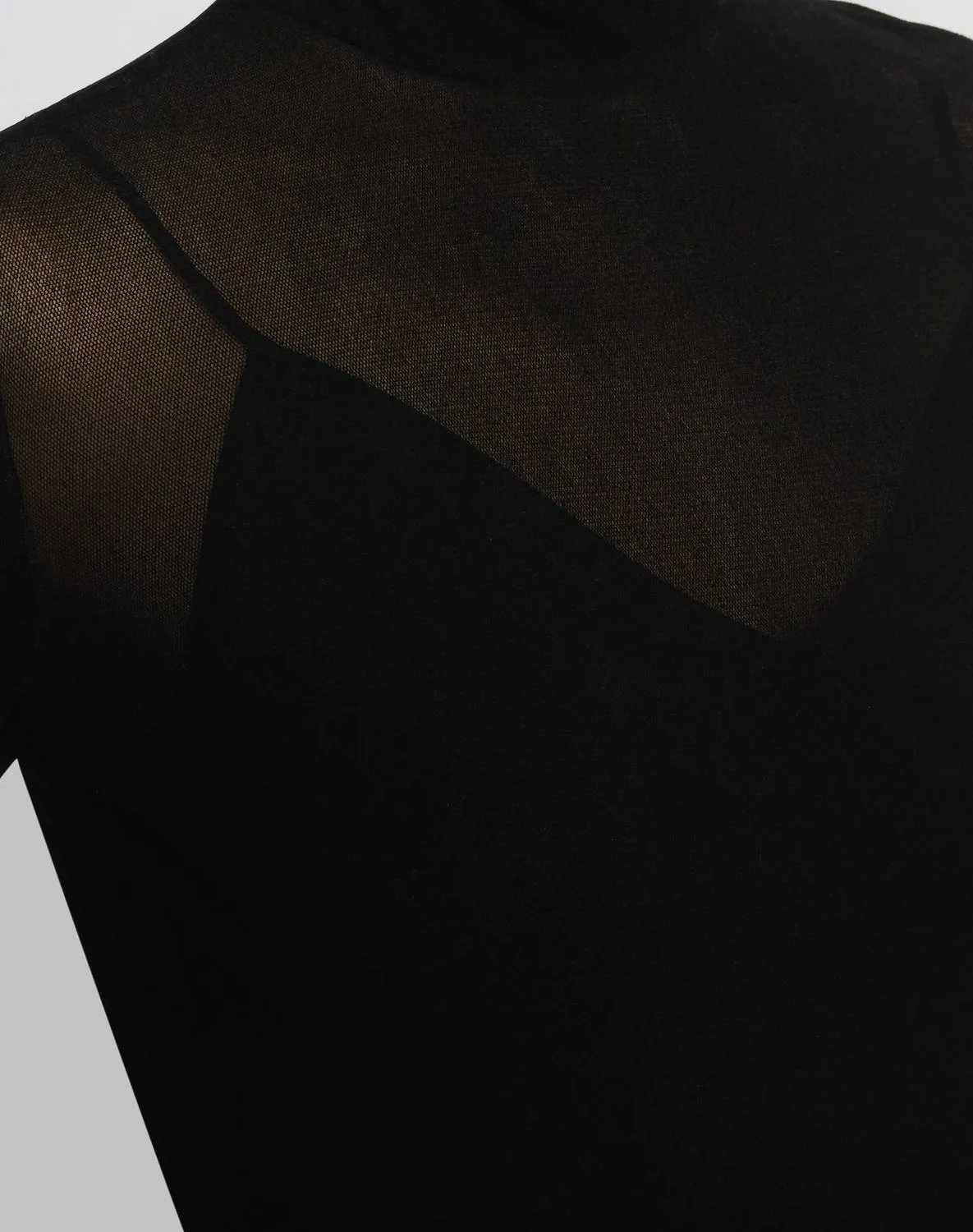Velvet Mesh Jersey Sheer Turtleneck In Black