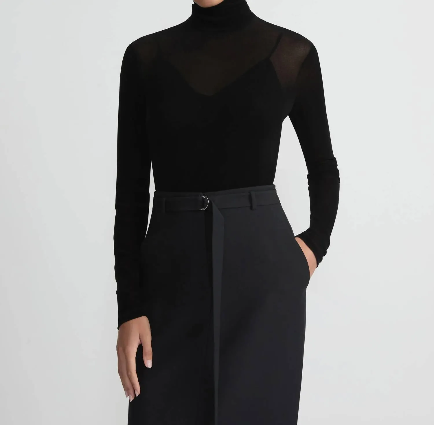 Velvet Mesh Jersey Sheer Turtleneck In Black