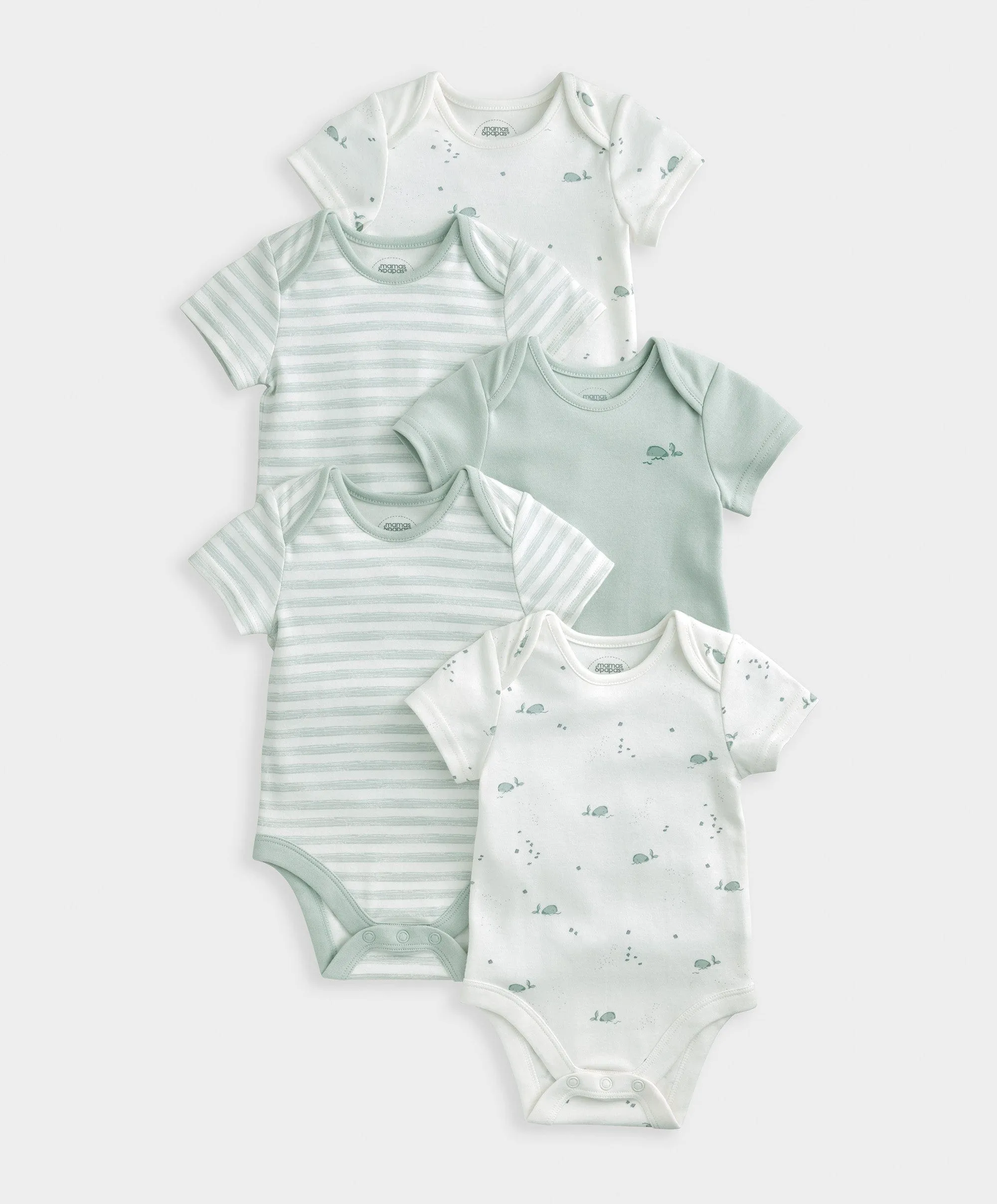 Whale Short Sleeve Bodysuits (Set of 5) Babykids Mamas & Papas