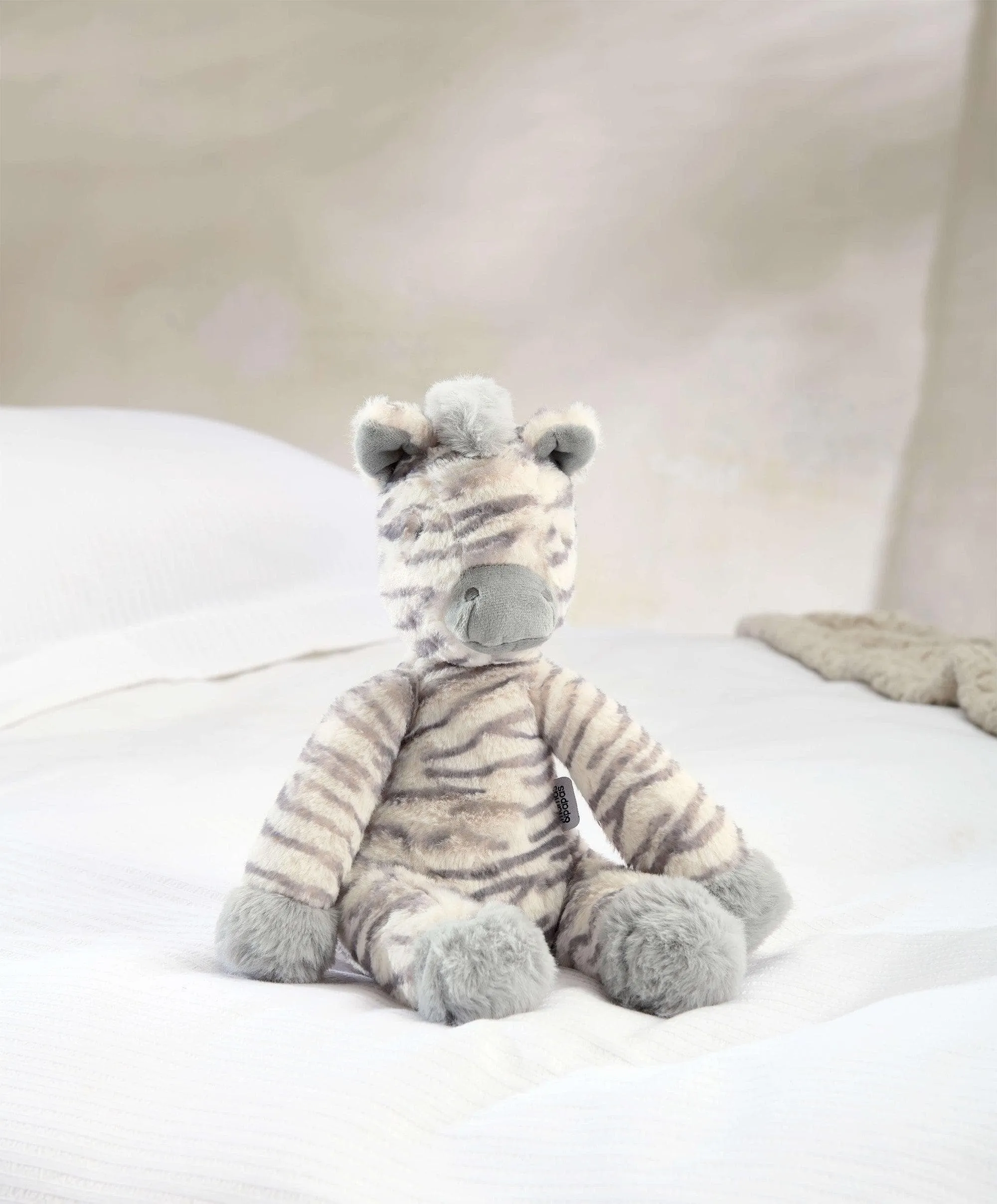 Zebra Giftbox - Medium